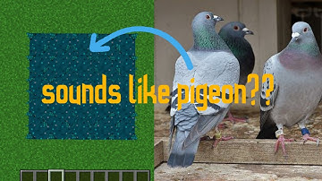 Does Sculk Sensors sound like pigeons?...