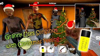 The Twins Remake but Granny has a Slingshot and Pepper Spray With Christmas Feeling screenshot 4