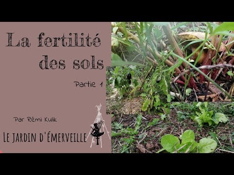 Vidéo: Prendre soin des plants de fraises stériles - Comment cultiver un couvre-sol de fraises stériles