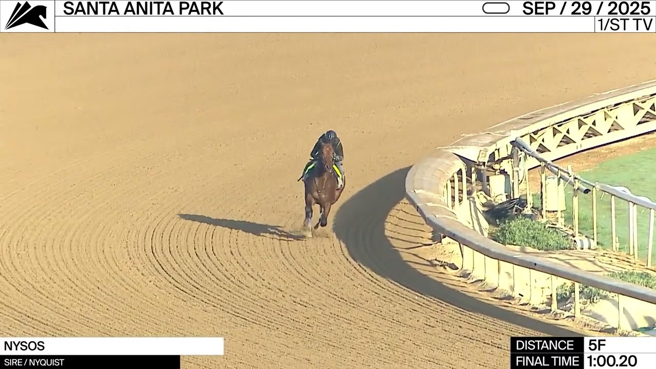 Work of the Day at Santa Anita Park: Nysos worked 5 Furlongs in 