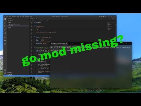 Go.mod missing