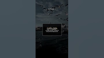 آرح قلبك❤تلاوة الهادئة بصوت رعد الكردي حالات واتس اب راحة نفسیة