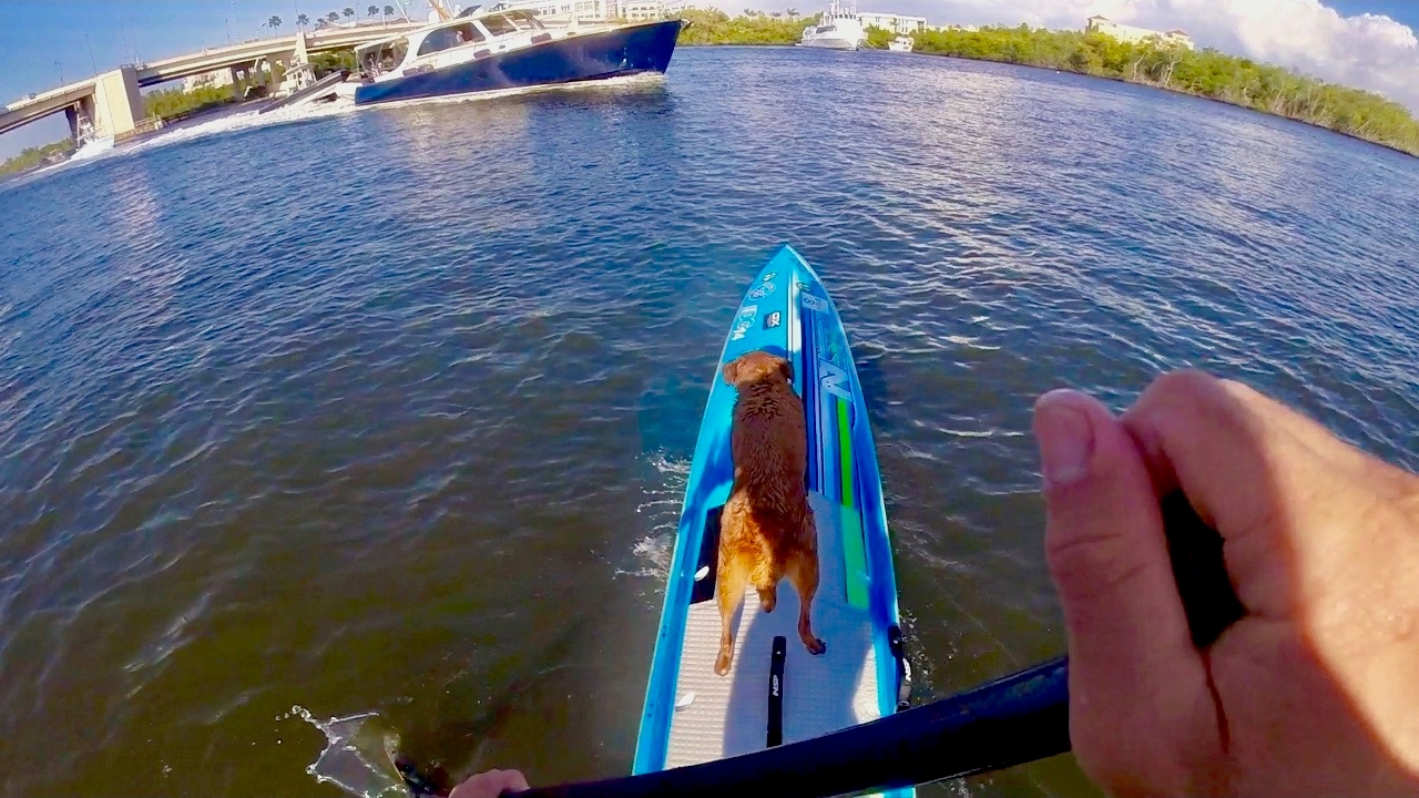 RIDING BOAT WAKES WITH DOG