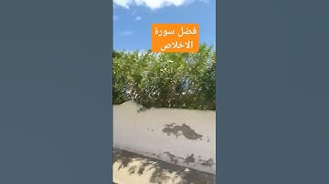 #صلواعليهﷺ #المصحف # فضل سورة الاخلاص #يصلك كل جديد #اكسبلور