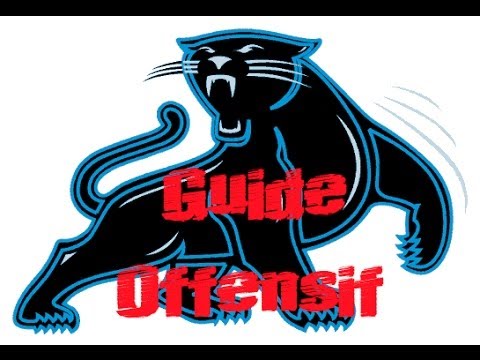 Vidéo: Guide de voyage pour un match des Panthers en Caroline