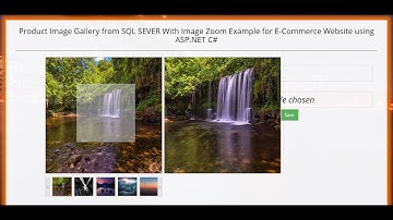 Product Image Gallery from SQL SEVER With Image Zoom Example for E-Commerce Website using ASP.NET c#