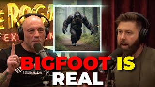 Joe Rogan Asks A Wildlife Biologists Is Bigfoot Real?!