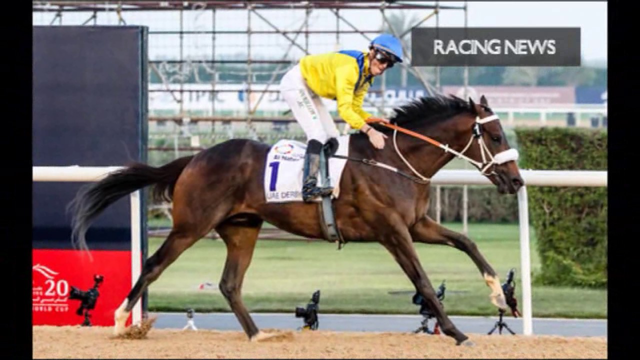 Dubai World Cup Entries Preview Racing News YouTube