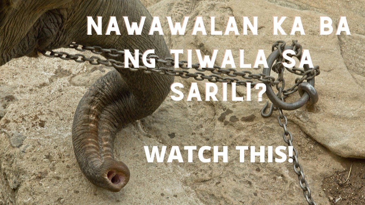 The Elephant Rope/Belief/Inspirational/Motivational Story/Tagalog YouTube