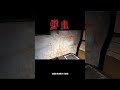 「血漬」#True張嘴#刑案現場#靈探#探險#鬼屋#鬼故事#EVP#禁忌話題