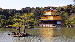 Mystical Kyoto: Unveiling the Secrets of an Ancient City