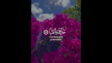 إن للمتقين مفازا حدائق وأعنابا وكواعب أترابا وكأسا دهاقا | القارئ عبيدة موفق