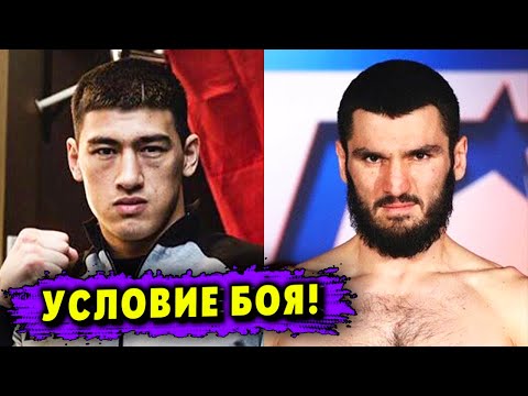 Причина в Биволе! Названо Условие для Боя Бивол  Бетербиев!