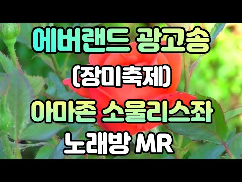 [노래방] 아마존 소울리스좌 - 에버랜드 광고송