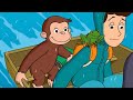 George O Curioso 🐵Caçando Arco-Iris 🐵Compilação 🐵O Macaco🐵Desenhos Animados