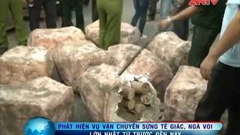 1 tấn ngà voi, sừng tê giác “ngụy trang” trong đá cẩm thạch