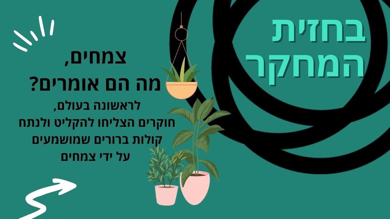 מהם הצלילים שעושה העגבנייה? ואיך נשמע הקקטוס?