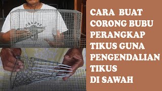 How to Make a Funnel Rat Trap to Control Rice Field Rat Pests
