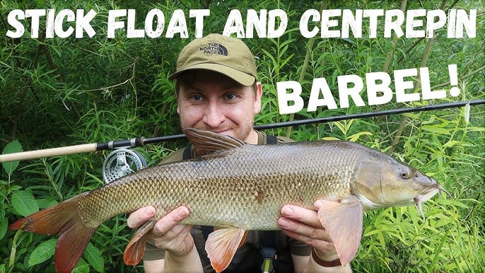 STICK FLOAT FISHING FOR CHUB WITH KORUM GLIDE 