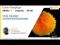 Лекция Андрея Островского "Что такое суперорганизм"