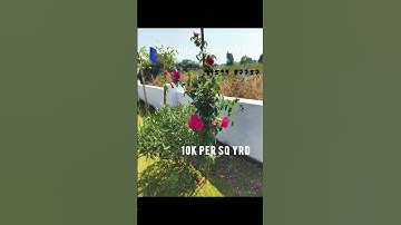 Low budget plots hyderabad | Dtcp and hmda plots for sale | #viralvideo #property #realestate #plot