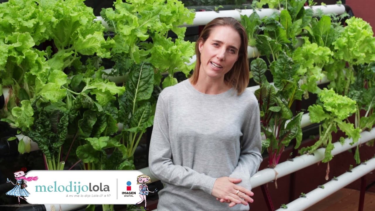 modality Tips para cuidar el medio ambiente