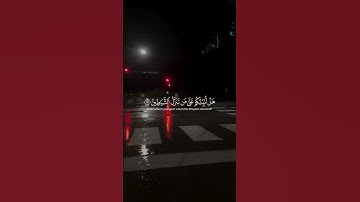 سورة الشعراء | وتوكل على العزيز الرحيم الذي يراك حين تقوم وتقلبك في الساجدين | #ياسر_الدوسري #قران