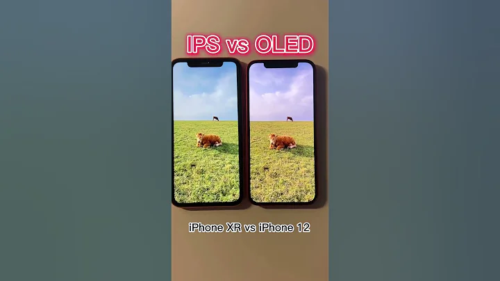iPhone IPS LCD vs OLED - DayDayNews
