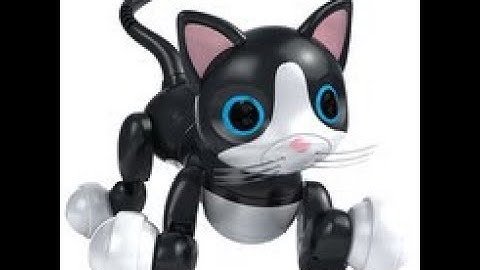 TF2 - Cat Bots are Back