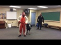 Cranston Police Department's K9 Unit Pays a Visit to Rocky Hill School Cranston Police Department's K9 Unit Pays a Visit to Rocky Hill School