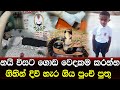කක ල න ම ළ ට ග ය නය ව සට බ ල ව දර ව