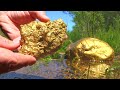 Huge Gold Nuggets Found Under Old Giant Tree!