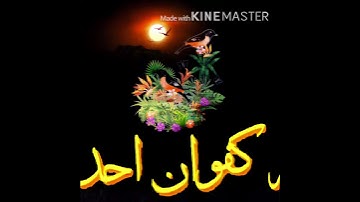 حالات واتس دينيه 💚للشيخ ماهر المعيقلي❤️تلاوه قرانيه جميله سورة الاخلاص 💗🍃،،2019
