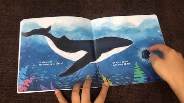 Một ngày của Bạch tuộc, sách Ehon wabooks sắc màu cho trẻ em [Kể chuyện bé nghe]