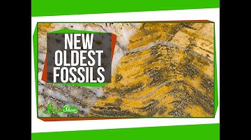 The Oldest Fossils Ever Found!