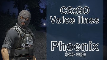 CSGO Agent Voice Lines: Phoenix (coop)