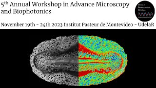 The spectral phasor plot for hyperspectral imaging