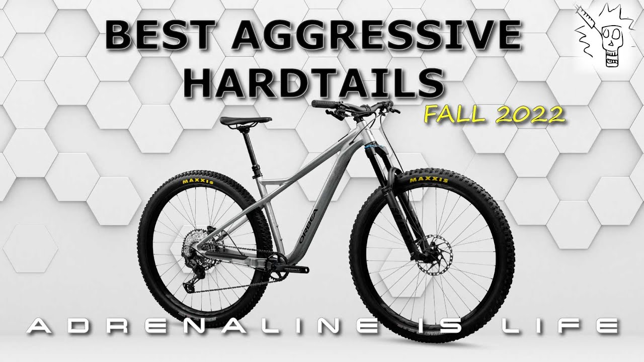 Best Hardtail Mountain Bikes 2022, 6 Aggressive Hardtail MTB under $3K