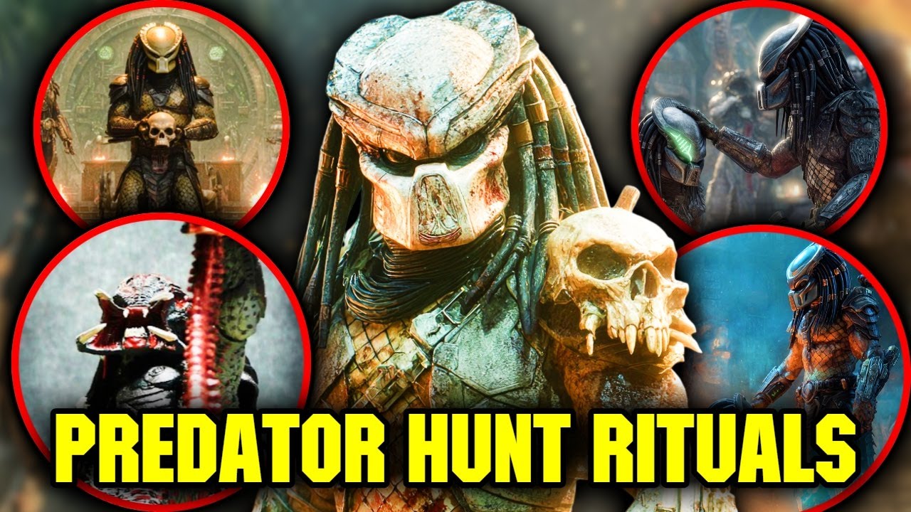 20 Crazy Yautja Rituals You’ll Only See on a Predator Hunt - YouTube