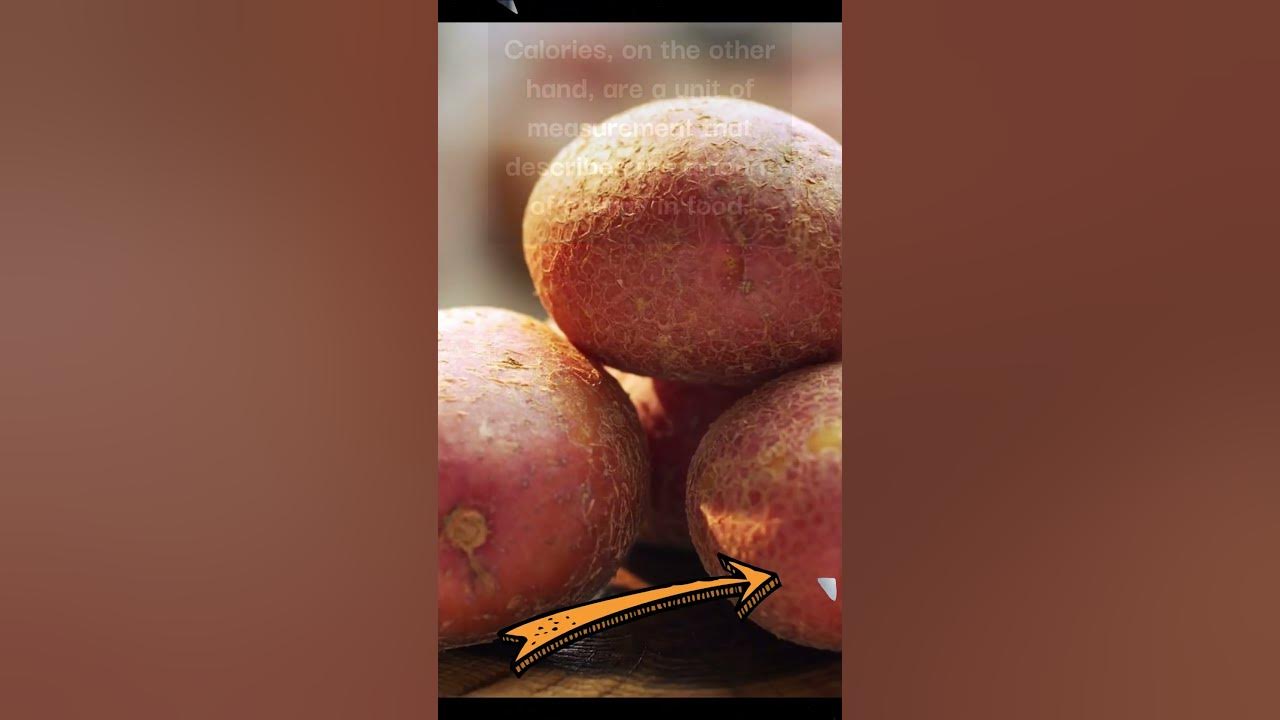 what-is-the-difference-between-carbs-and-calories-food-foodfacts