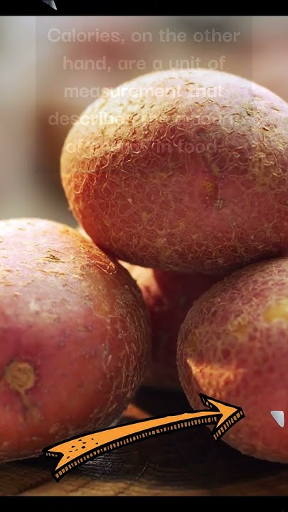 what-is-the-difference-between-carbs-and-calories-food-foodfacts