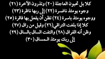 سورة القيامة من 20 إلى 30