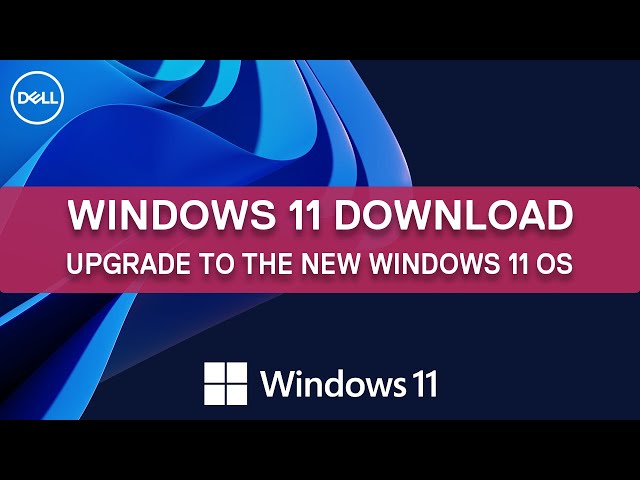 たつおじじ Windows11  DSP版　OS Windows 11 Home OEM 64 Bit DVD & Drivers Pack - Walmart.com