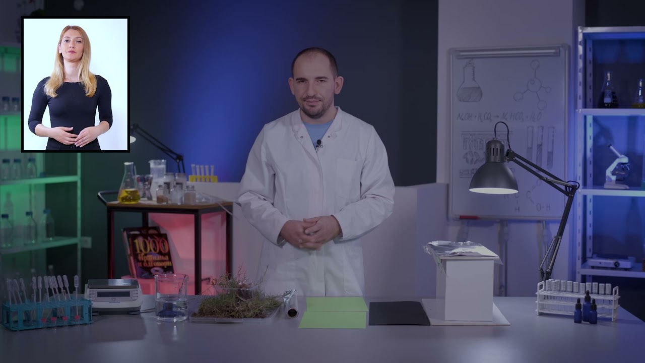 Çatitë e gjelbra – mbrojtja nga ngrohja dhe shirat e tepërt