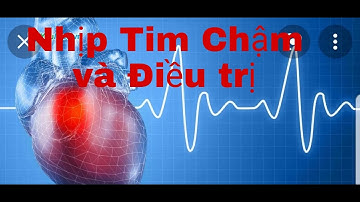 #32.  Nhịp chậm xoang và cách điều trị