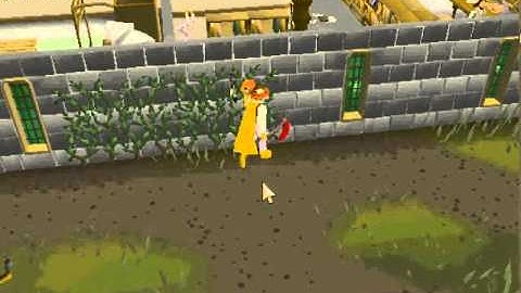 Runescape Ivy Bug