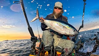 Kayak Angler Takes On Massive Nearshore Beasts! by Salt Strong 2,999 views 5 days ago 10 minutes, 29 seconds