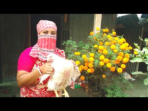 Slaughtering Chicken in Village style / Women Butchers/