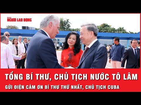 Tổng Bí thư,