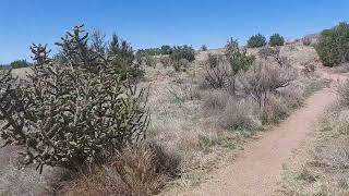 Hiking the Cottonwood Spring Trail, Elena Gallegos Sandia Mountains New Mexico 041624